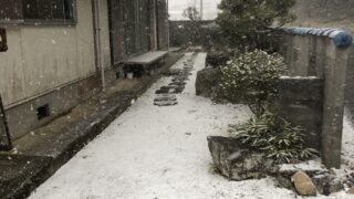 寒波到来!丹波篠山にも雪が降りだし一気に真っ白に!!
