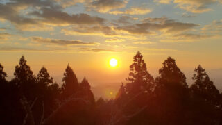 丹波篠山黒大豆農家 荒木農園のホームページ開設しました