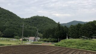 丹波黒大豆栽培が始まりました！！