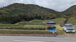 2023.10.14 黒大豆収穫にお手伝い