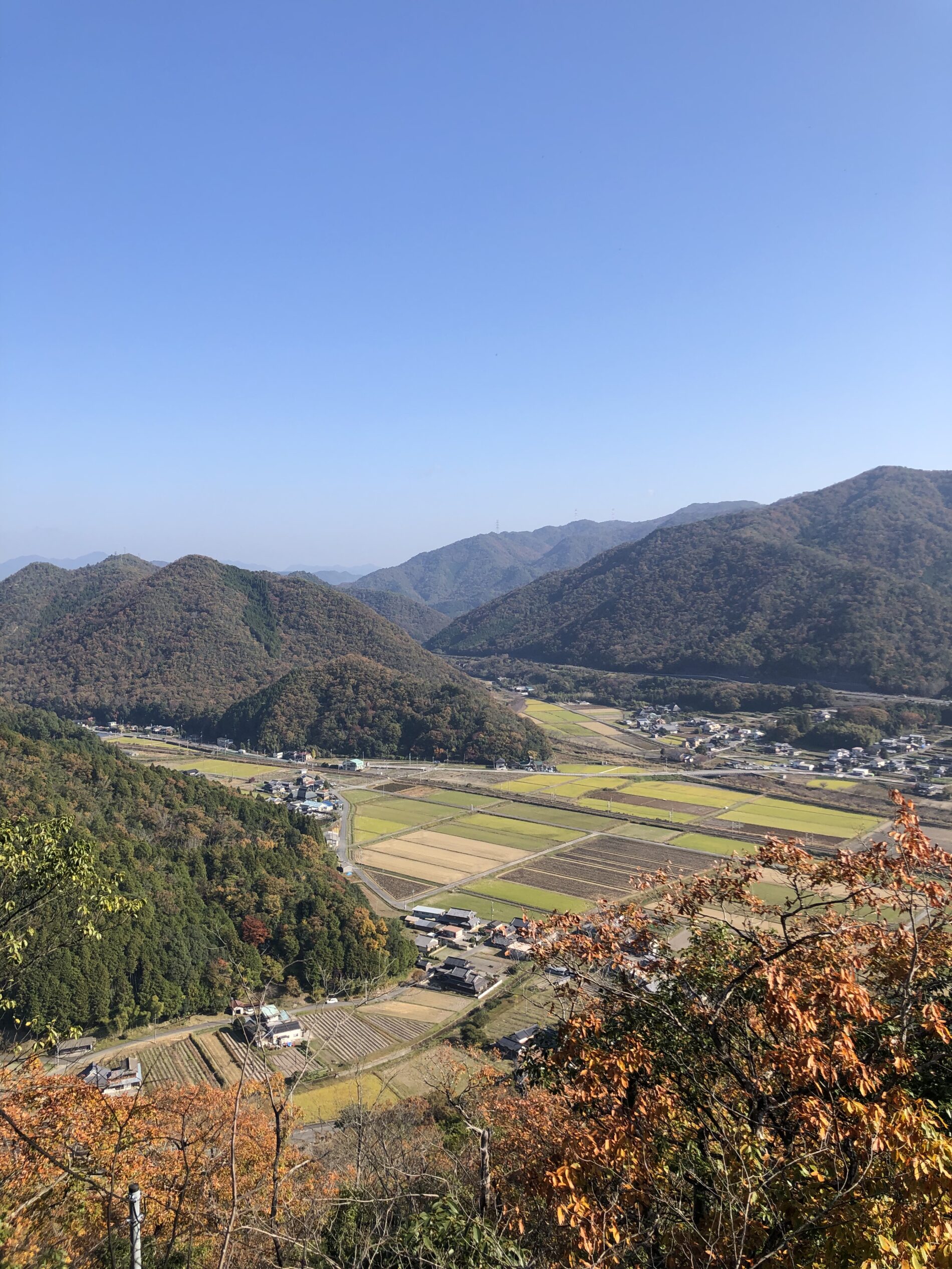 丹波篠山黒大豆農家　荒木農園