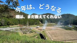 丹波篠山で始まる黒豆づくり|畑の一年、仕事はじめ