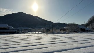 【丹波篠山で大雪警報】雪が積もっていく二日間の記録