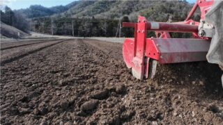 丹波篠山の黒大豆づくり|春の土づくりと2回目の耕うん作業