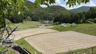 丹波篠山の黒大豆づくり｜雨前に進める元肥散布作業