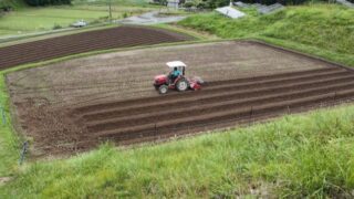 丹波篠山の黒大豆づくり｜定植に向けた畝立て作業