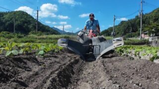 2026年黒大豆づくり｜追肥と土寄せで黒大豆の成長を支える